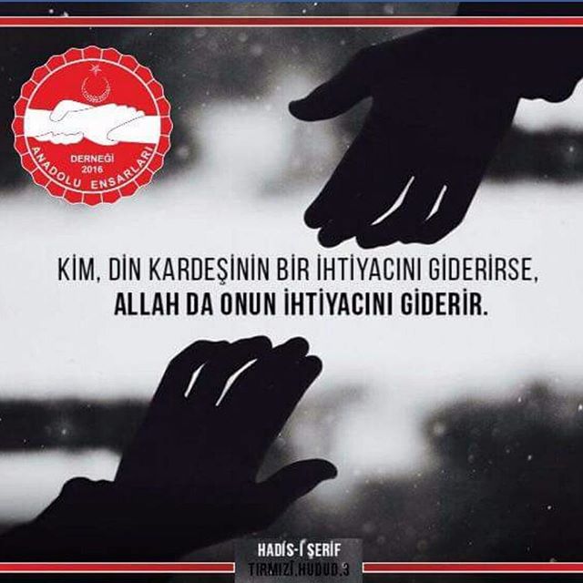 Instagram Image
