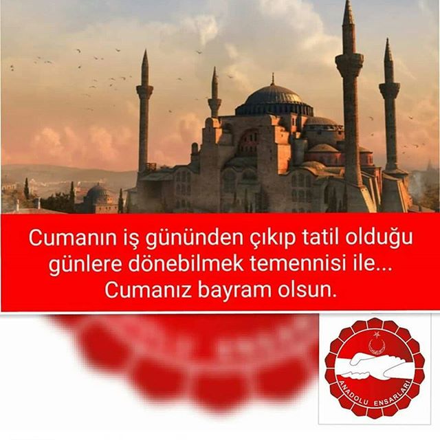 Instagram Image