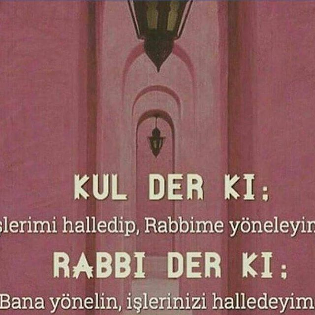 Instagram Image